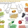 [Infographics] Các loại trái cây bạn nên ăn cả vỏ để tốt cho sức khỏe