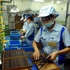 Dây chuyền sản xuất linh kiện cho các sản phẩm điện tử tại Công ty Trách nhiệm hữu hạn INOAC Viet Nam (vốn đầu tư của Nhật Bản), tại Khu công nghiệp Quang Minh (Hà Nội). (Ảnh: Danh Lam/TTXVN)