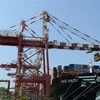 Xếp dỡ hàng hóa tại cảng container quốc tế ở Colombo, Sri Lanka. (Ảnh: AFP/TTXVN)
