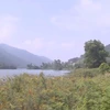 Một góc hồ Đồng Đò thôn Minh Tân, Minh Trí, Sóc Sơn Hà Nội. (Ảnh: Mạnh Khánh/TTXVN)