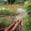 Mực nước trên sông Krông Nô (đoạn qua xã Nâm N’đir, huyện Krông Nô, tỉnh Đắk Nông) xuống thấp, gây khó khăn cho công tác bơm tưới cho các loại cây ngắn ngày. (Ảnh: Hưng Thịnh/TTXVN)
