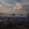 Khu vực rừng Amazon ở Altamira, bang Para (Brazil) trơ trụi sau thảm họa cháy rừng, ngày 27/8/2019. (Ảnh: AFP/TTXVN)