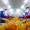 Dây chuyền chế biến trái cây xuất khẩu của Công ty Cổ phần Nafoods miền Nam. (Ảnh: Danh Lam/TTXVN)
