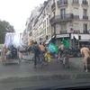 [Video] Đạp xe khỏa thân quanh thủ đô Paris để bảo vệ môi trường
