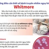 [Infographics] Điều cần biết về bệnh truyền nhiễm nguy hiểm Whitmore
