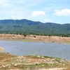 Nhiều hồ chứa nước ở Ninh Thuận sắp cạn kiệt, gây khó khăn cho sản xuất vụ mùa 2019. (Ảnh: Công Thử/TTXVN)