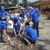 Đoàn viên thanh niên tham gia dọn rác. (Ảnh minh họa. Đinh Hương/TTXVN)