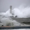 Siêu bão Hagibis đổ vào Nhật Bản tối 12/10 đã gây thiệt hại nặng nề về người và của. (Nguồn: english.kyodonews.net)