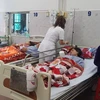 Các nạn nhân được điều trị tại Bệnh viện đa khoa tỉnh Nam Định. (Ảnh: Công Luật/TTXVN)