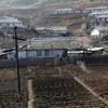 Đất trồng trọt khô hạn tại Nampho, tỉnh Nam Phyongan, Triều Tiên. (Ảnh: AFP/TTXVN)