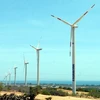 Hệ thống điện gió tại huyện Tuy Phong, Bình Thuận. (Ảnh minh họa: Mạnh Linh/TTXVN)