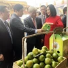 Tuần hàng đặc sản Đồng Tháp tại Thành phố Hồ Chí Minh năm 2019 giới thiệu đa dạng sản phẩm nông sản tươi sống, sản phẩm chế biến, hàng thủ công mỹ nghệ… (Ảnh: Mỹ Phương/TTXVN)