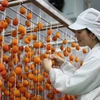 [Photo] Nhà máy hồng sấy treo công nghệ Nhật Bản đi vào hoạt động