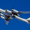 Máy bay Tu-95 của Nga. (Nguồn: nationalinterest.org)