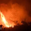 Lửa bùng lên từ các đám cháy rừng ở Kampar, Indonesia, ngày 16/9. (Ảnh: AFP/TTXVN)