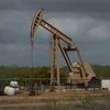 Một cơ sở khai thác dầu tại Cotulla, Texas, Mỹ. (Ảnh: AFP/ TTXVN)