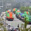 Xe tải chở thực phẩm viện trợ cho Triều Tiên qua cửa khẩu Paju, phía Bắc Seoul, Hàn Quốc. (Nguồn: AFP/TTXVN)