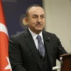 Ngoại trưởng Thổ Nhĩ Kỳ Mevlut Cavusoglu phát biểu tại cuộc họp ở Ankara ngày 6/1/2020. (Ảnh: THX/TTXVN)