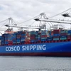 Tàu container của Hãng vận tải biển COSCO của Trung Quốc tại cảng Long Beach, Los An geles (Mỹ). (Ảnh: AFP/TTXVN)