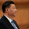 Chủ tịch Trung Quốc Tập Cận Bình. (Nguồn: AFP)