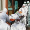 Nhân viên y tế chuyển bênh nhân nghi nhiễm COVID-19 tại Cheongdo, cách thủ đô Seoul của Hàn Quốc 320km về phía đông nam, ngày 21/2/2020. (Ảnh: Yonhap/TTXVN)