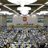 Toàn cảnh một phiên họp Thượng viện Nga ở Moskva. (Nguồn: AFP/TTXVN)