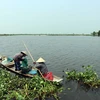 Khu vực cửa sông Ô Lâu nằm trong quy hoạch xây dựng khu Tràm chim của tỉnh Thừa Thiên-Huế. (Ảnh: Đỗ Trưởng/TTXVN)