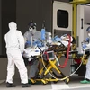 Nhân viên y tế chuyển bệnh nhân mắc COVID-19 từ xe cứu thương vào một bệnh viện ở Dresden, Đức ngày 26/3/2020. (Ảnh: AFP/TTXVN)