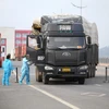 Cán bộ y tế tiến hành phun khử khuẩn buồng lái của xe nhập khẩu qua cầu Bắc Luân 2 - cửa khẩu quốc tế Móng Cái. (Ảnh: Minh Quyết/TTXVN)