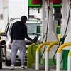 Bảng giá xăng được niêm yết tại một cửa hàng xăng của Tập đoàn BP ở Brooklyn, New York (Mỹ). (Ảnh: THX/TTXVN)