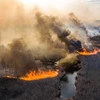 Khói lửa bốc lên từ đám cháy rừng gần nhà máy điện hạt nhân Chernobyl ở Ukraine ngày 5/4/2020. (Ảnh: AFP/TTXVN)