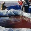 Lực lượng cứu hộ hút dầu loang trên sông Ambarynaya sau sự cố tràn dầu diesel ở Norilsk thuộc vùng Siberia, ngày 5/6/2020. (Ảnh: AFP/TTXVN)