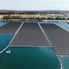 Nhà máy năng lượng Mặt Trời nổi đầu tiên tại thành phố miền Đông Nam Piolenc, Pháp. (Ảnh: AFP/TTXVN)
