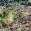 Thanh tra Gia Lai kiến nghị xử lý trách nhiệm quản lý rừng Chư A Thai