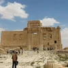 Thành cổ Palmyra. (Nguồn: 10news.com)