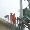 Công nhân Công ty Điện lực Đông Anh kiểm tra công tác đảm bảo điện. (Ảnh: Mạnh Khánh/TTXVN)