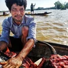 [Photo] Quảng Bình: Nhiều xã ở Lệ Thủy vẫn bị nước lũ cô lập