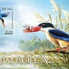 Phát hành bộ tem bưu chính góp phần bảo tồn loài chim bói cá