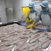 Chế biến cá tra xuất khẩu tại Công ty Công nghiệp Thủy sản Miền Nam. (Ảnh: TTXVN)