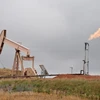 Hệ thống khai thác dầu mỏ gần Williston, North Dakota, Mỹ. (Nguồn: AFP/TTXVN) 