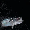 [Photo] Trải nghiệm thú vị khi săn cá đêm trên biển Trường Sa