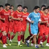 Các cầu thủ đội tuyển Việt Nam trong buổi tập. (Ảnh: Hoàng Linh/TTXVN)