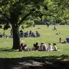 Người dân tắm nắng trong công viên tại New York, Mỹ. (Ảnh: THX/TTXVN)