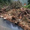 Lào Cai: Mưa lớn kéo dài khiến khu vực đỉnh đèo Ô Quý Hồ bị sạt lở