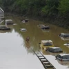 Chính phủ Đức lập quỹ khắc phục hậu quả lũ lụt trị giá 30 tỷ euro