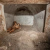 Phát hiện hài cốt được bảo quản tốt, làm sáng tỏ nền văn hóa Pompeii