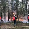 Cháy rừng nghiêm trọng tại Nga lan rộng đến vùng miền Trung
