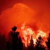 Khói lửa bốc lên tại đám cháy Coldor ở Twin Bridges, bang California, Mỹ ngày 29/8. (Ảnh: AFP/TTXVN)
