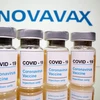Nhật Bản đặt mua 150 triệu liều vaccine COVID-19 của Novavax