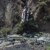 Bolivia: Xe buýt lao xuống khe núi khiến ít nhất 23 người tử nạn 